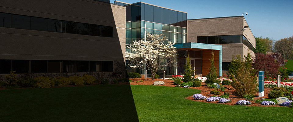 Bay Saint Louis Landscapers