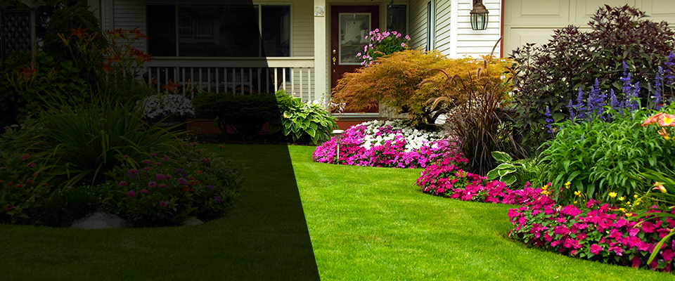 Bay Saint Louis Landscapers