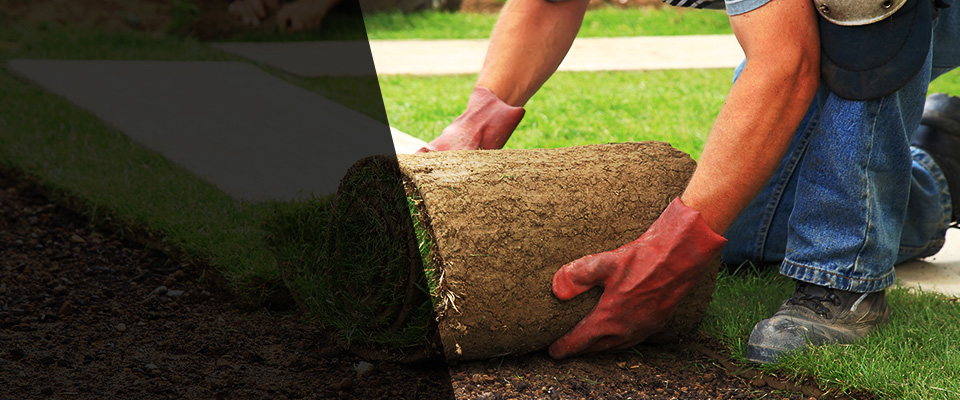 Bay Saint Louis Landscapers